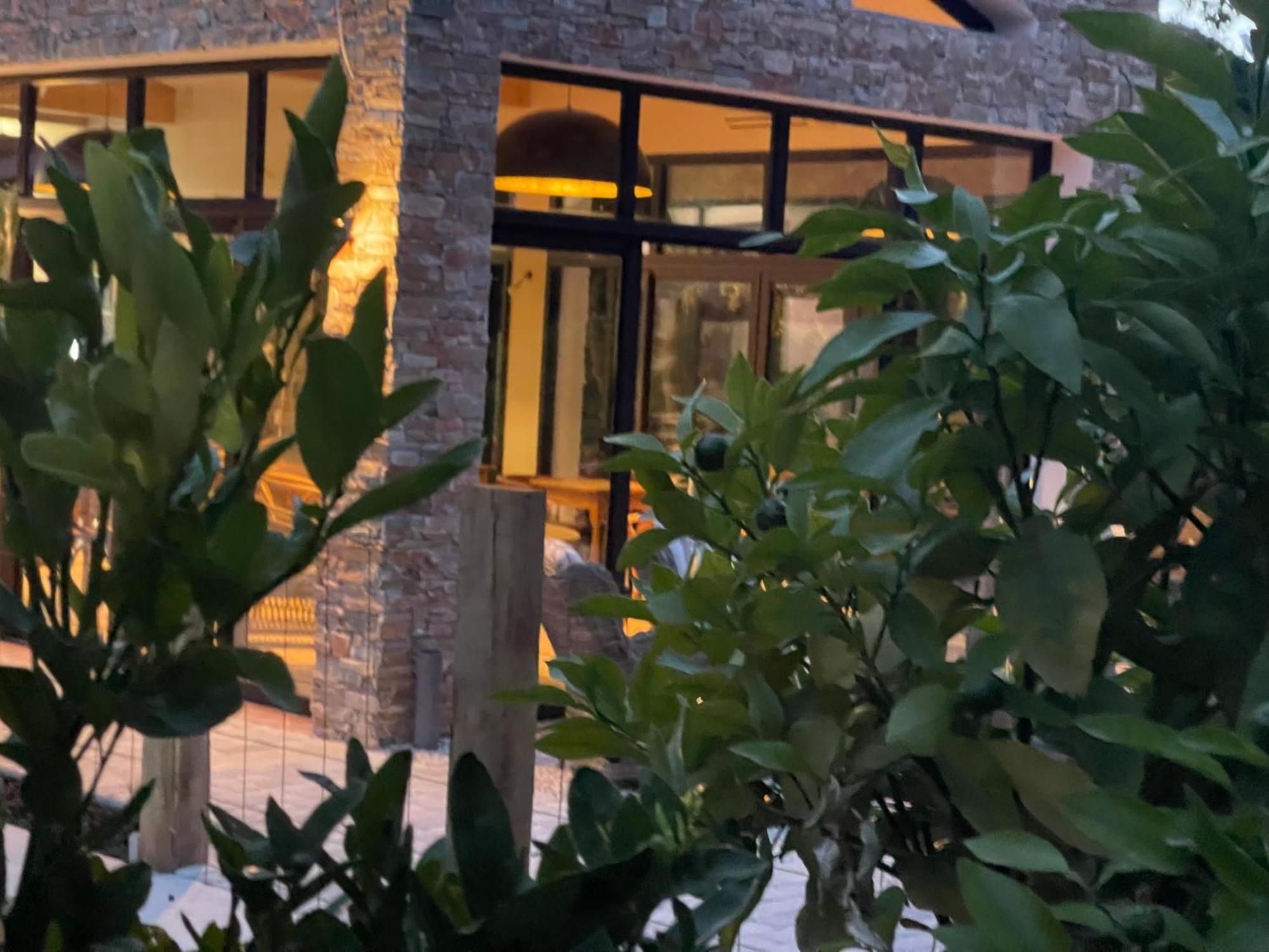 L'Intemporel Saint-Cyr-sur-Mer Dış mekan fotoğraf