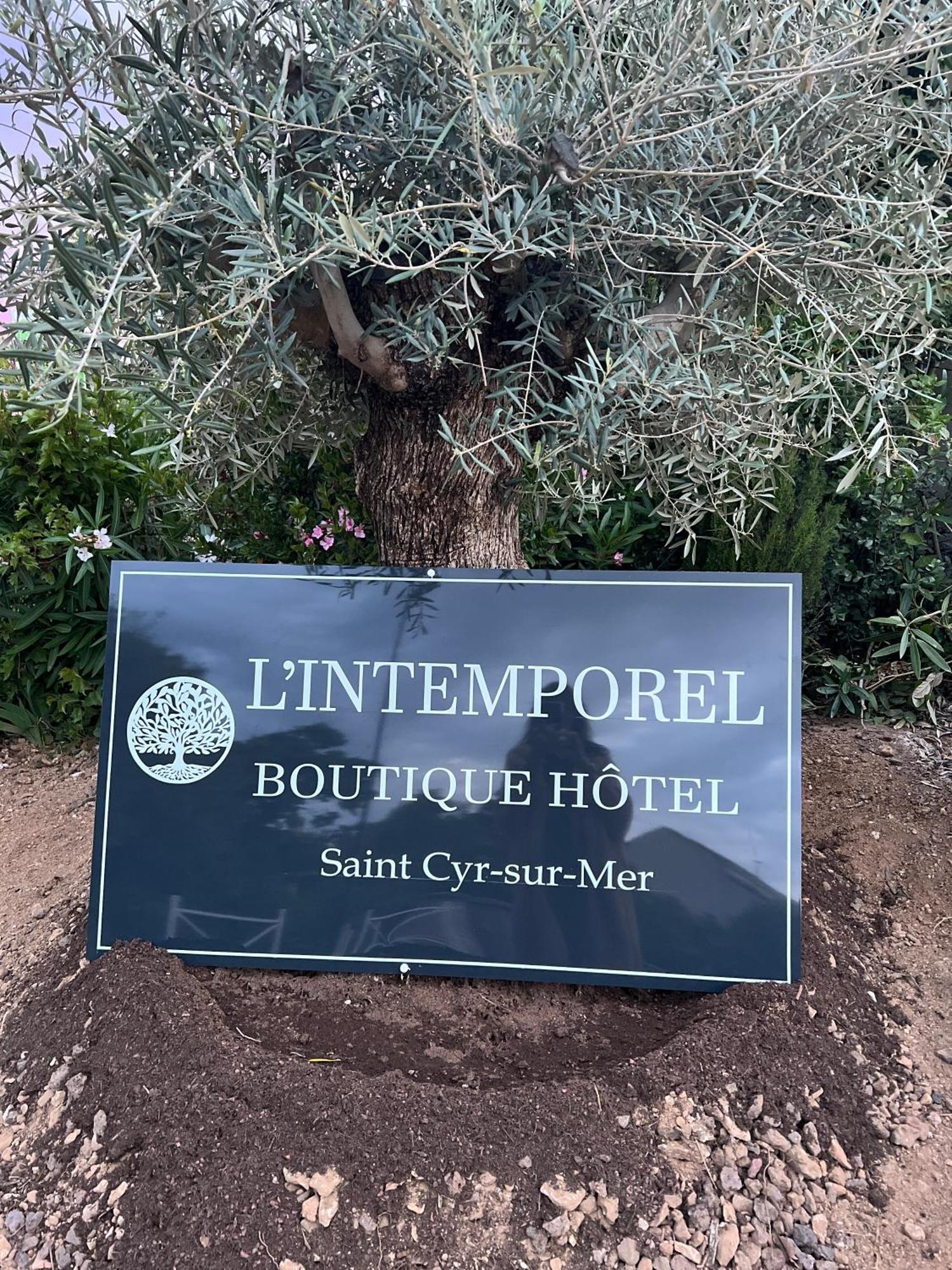 L'Intemporel Saint-Cyr-sur-Mer Dış mekan fotoğraf