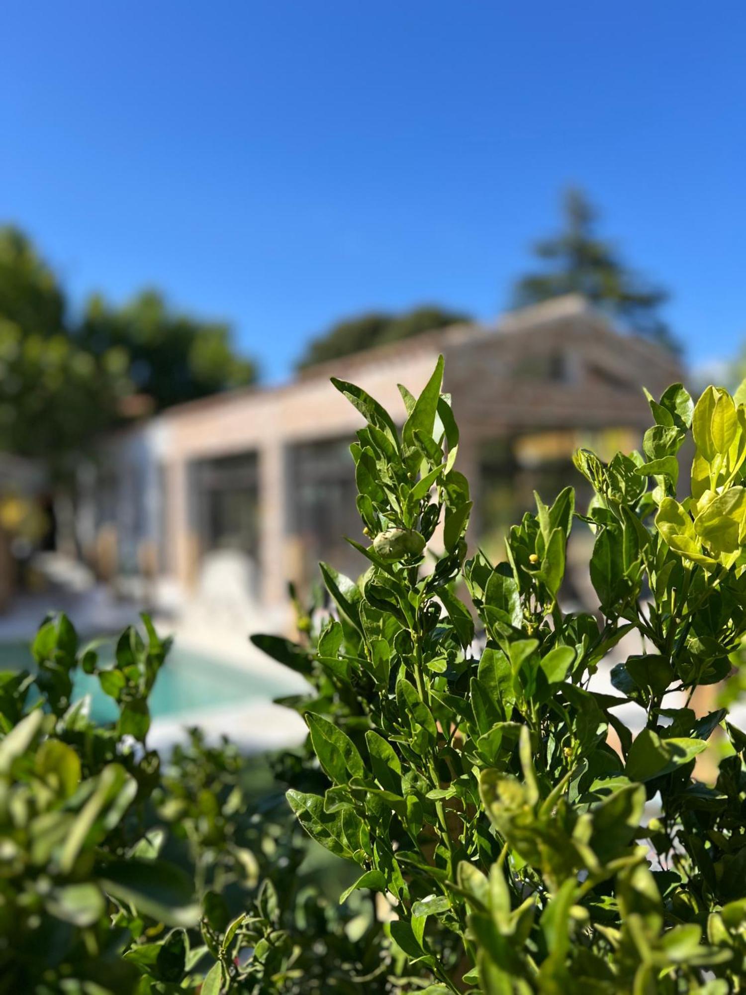 L'Intemporel Saint-Cyr-sur-Mer Dış mekan fotoğraf